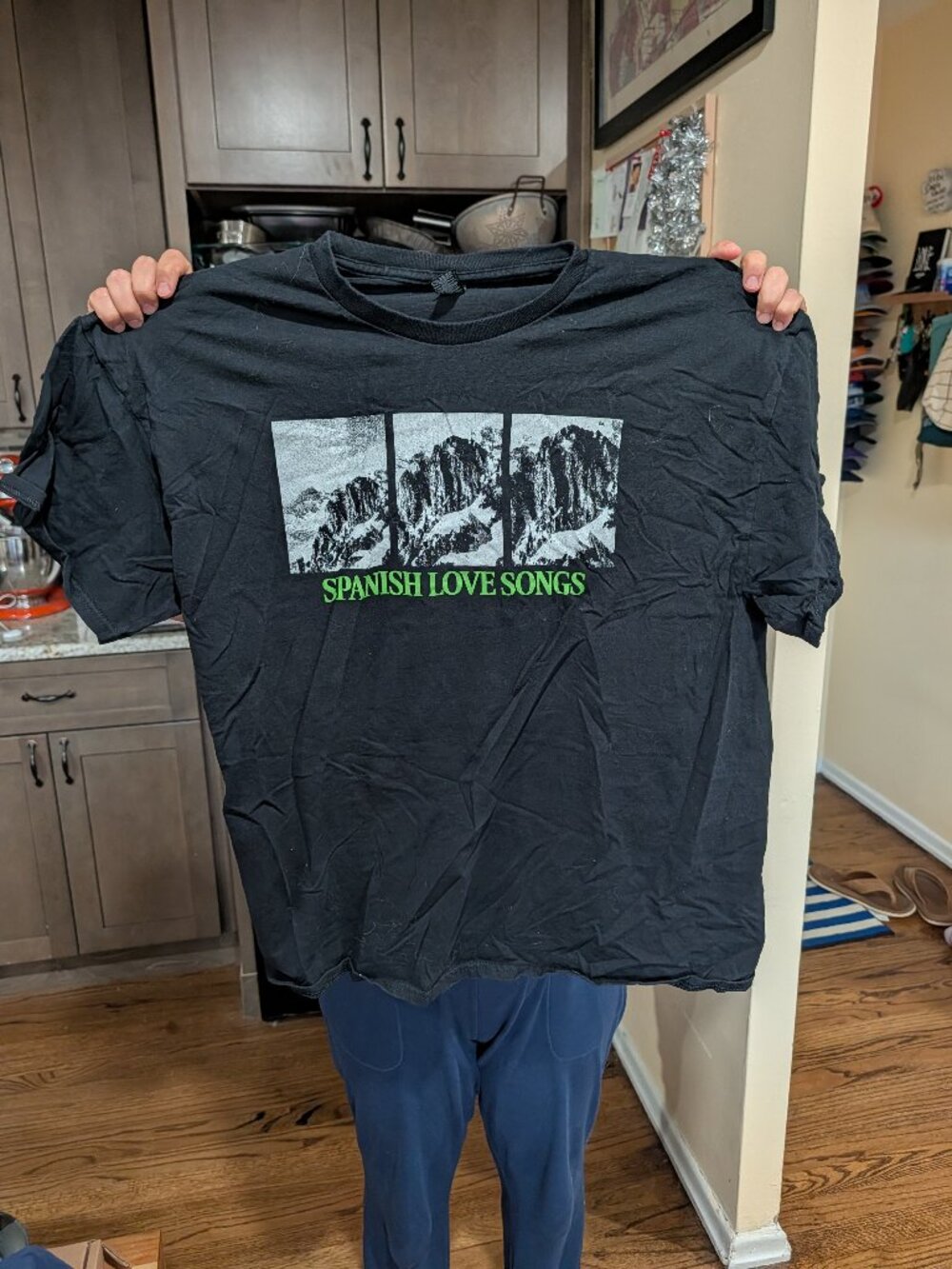 Pop Punk / Band Merchandise – Spanish Love Songs - Mountains